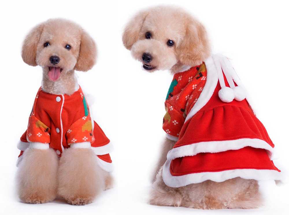 cappotto cane natalizio