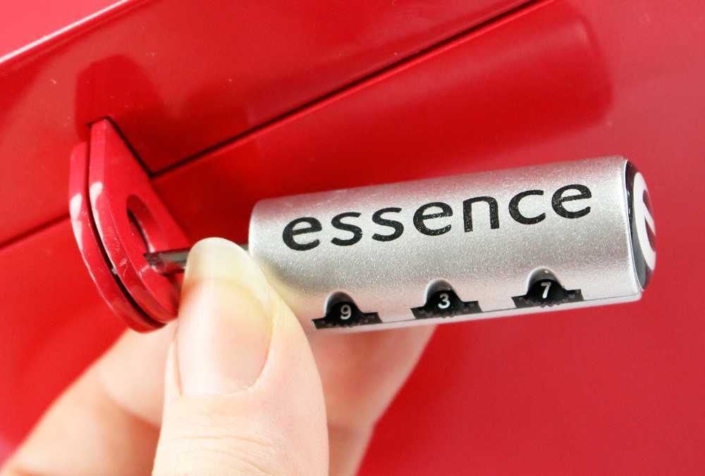 essence the access to the forbidden