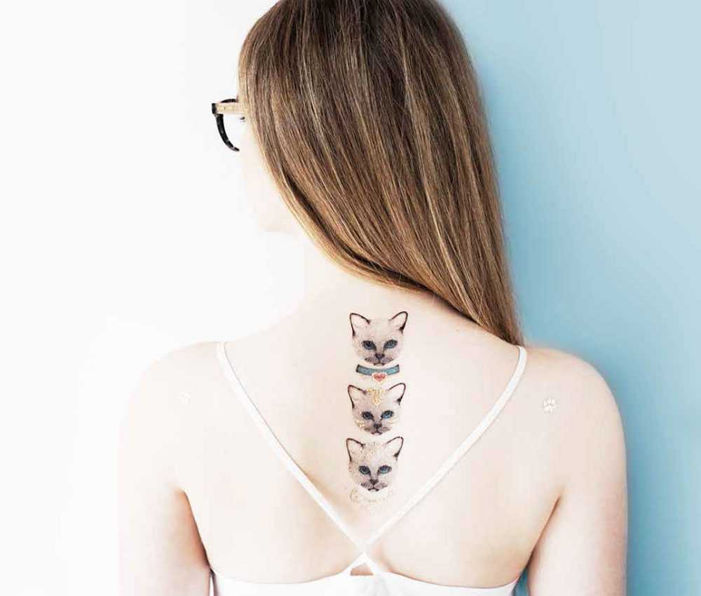 tattoo temporanei gatti