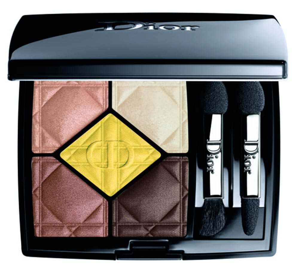 palette dior 5 couleurs care & dare collection
