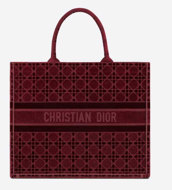 Shopper Dior Book Tote