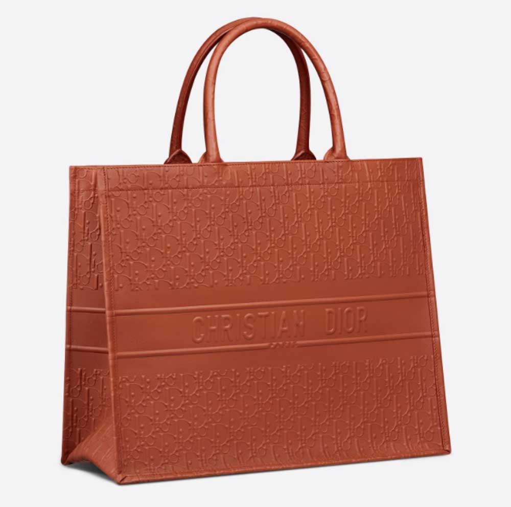 Borse Dior inverno 2021 Borse Dior inverno 2021