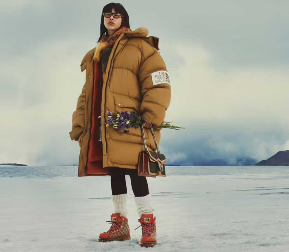 The North Face x Gucci The North Face x Gucci