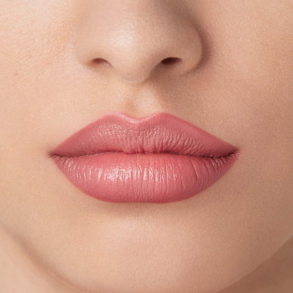 Anastasia Beverly Hills trucco labbra 