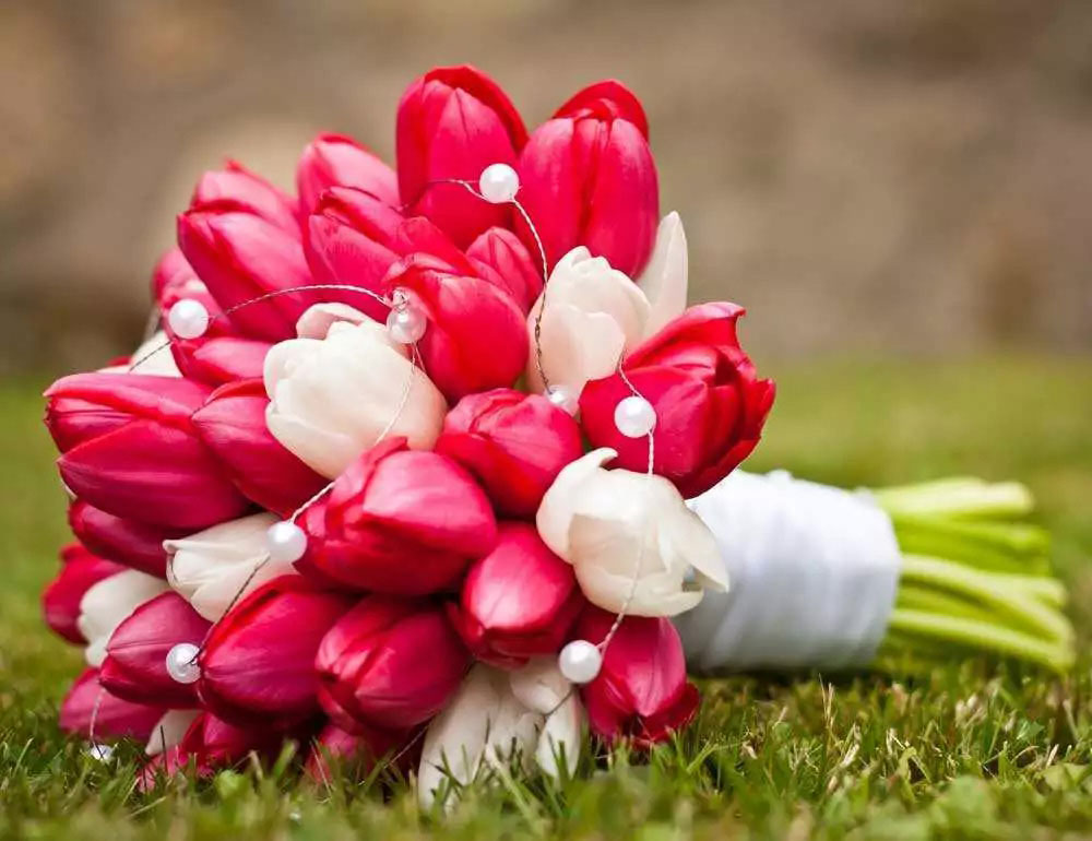 Bouquet sposa tulipani rossi e bianchi