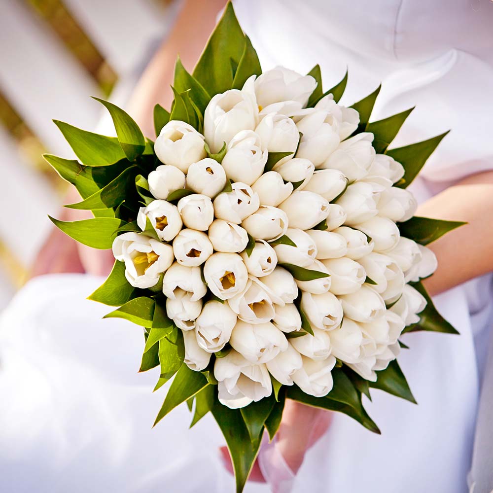 Bouquet sposa tulipani bianchi