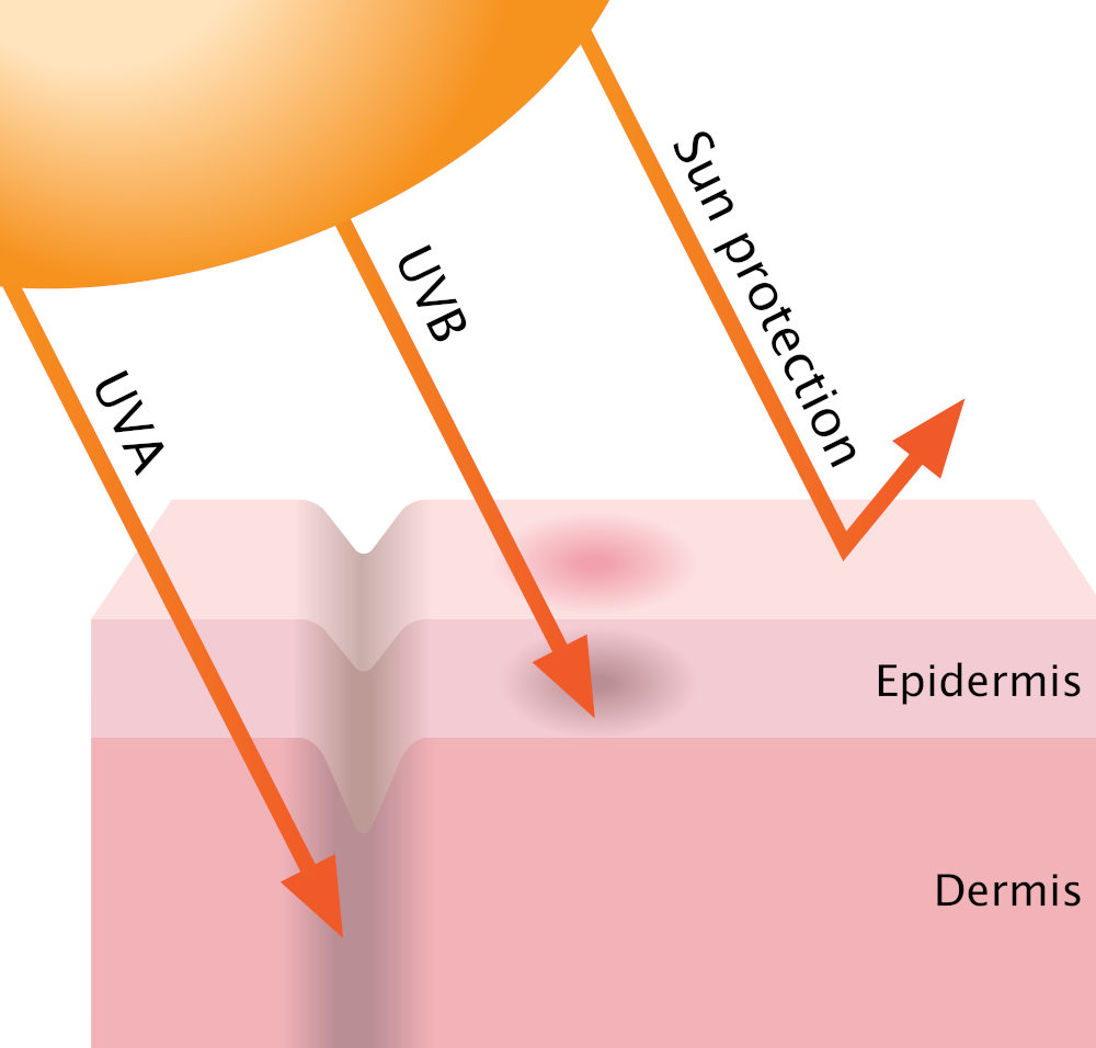 Raggi UV e pelle