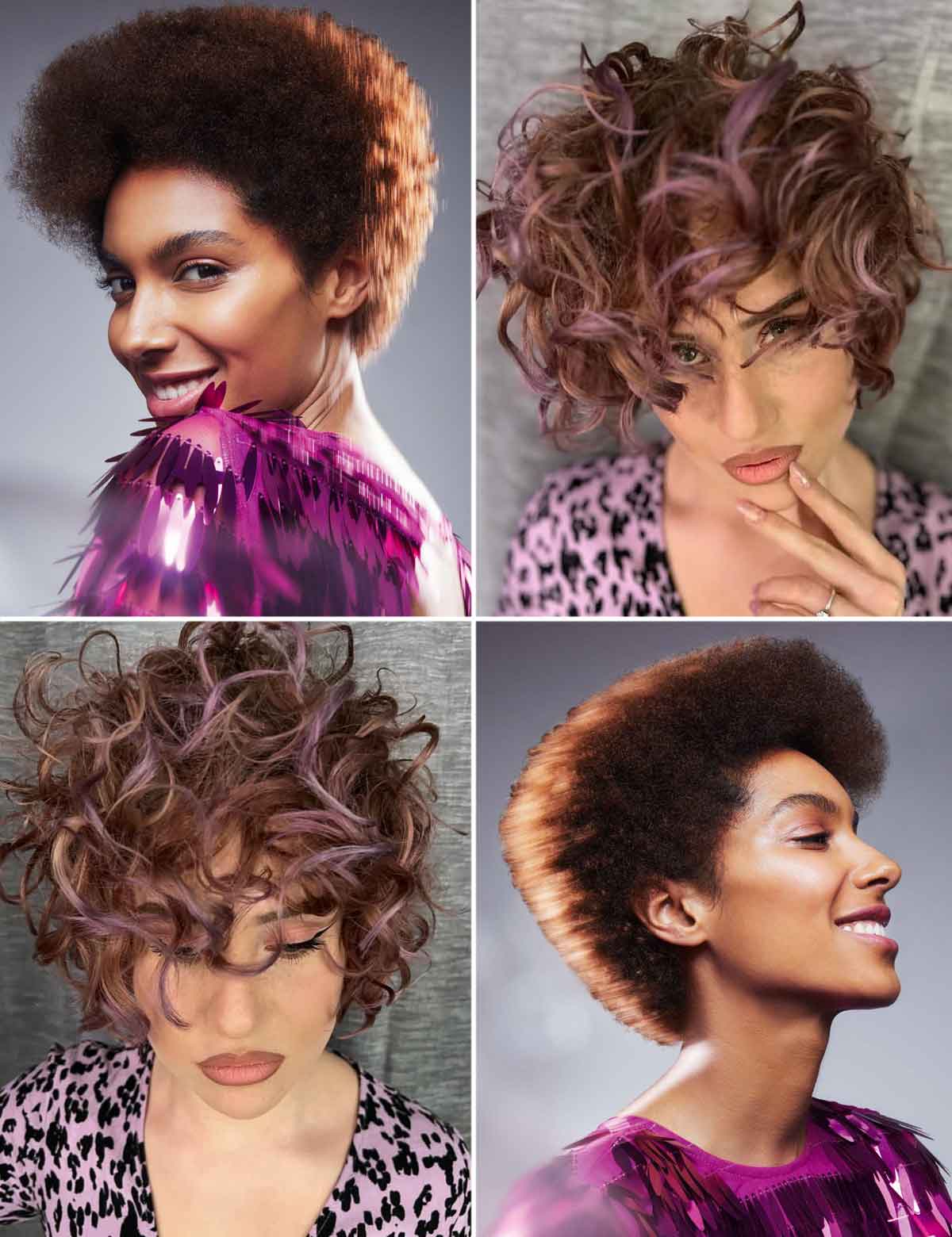 Tagli corti scalati capelli ricci Tagli corti scalati capelli ricci