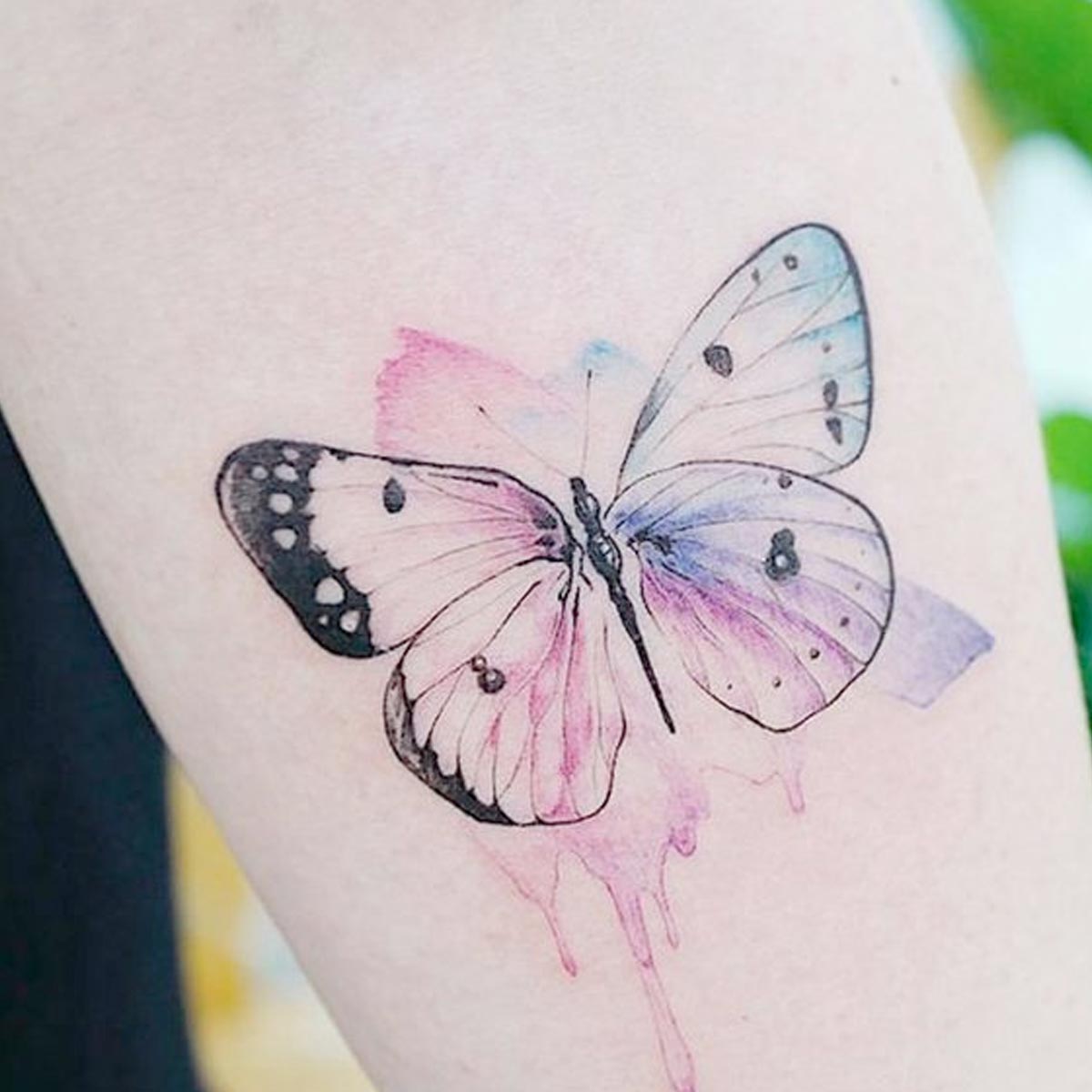 Tattoo farfalla colorata